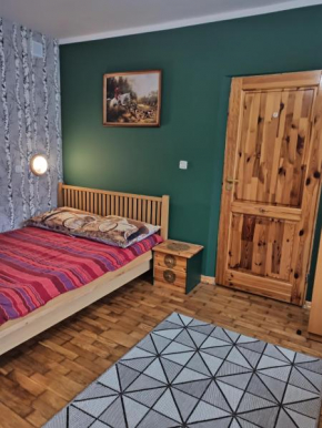 Bora Zdrój - apartament, Narewka